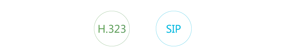 H.323/SIP dual protocols