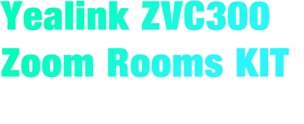 Yealink ZVC300 ZOOM ROOMS kit, zoom webcam