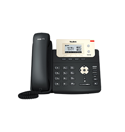 Dual-line entry level IP phone