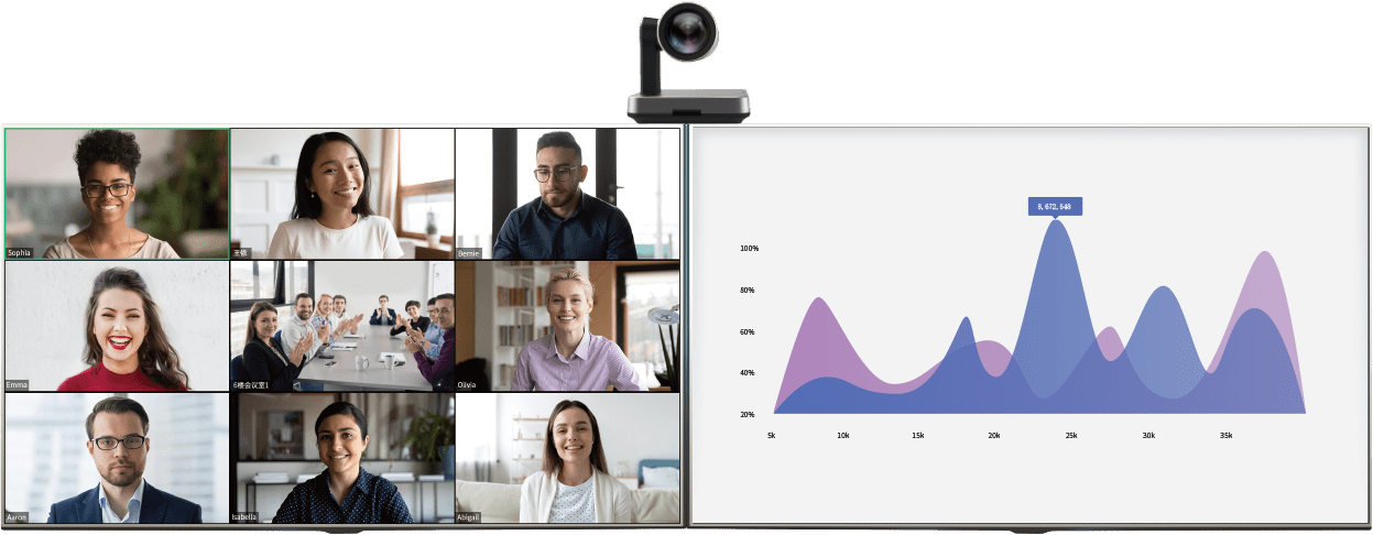 Video conference system